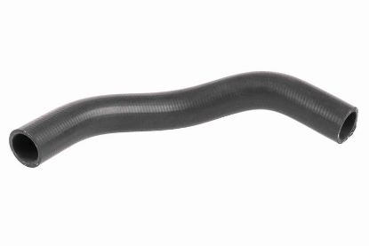 Radiator Hose SUZUKI 1785260B00000