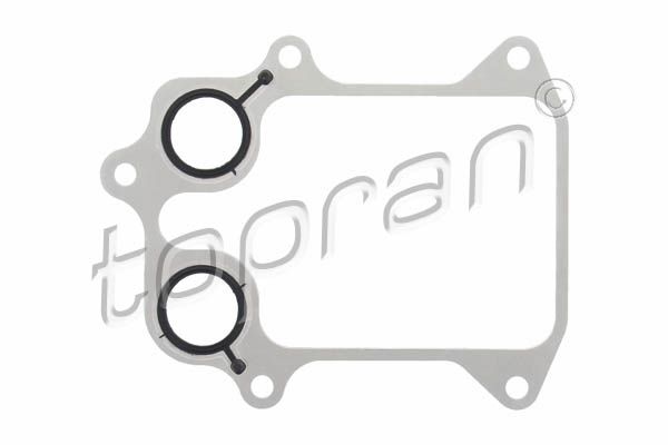 Gasket, oil cooler VAG