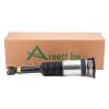 Air Suspension Strut 02-10 Audi A8