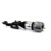 Air Suspension Strut Reman Front Lt Air Strut - Mercedes 16- E43 AMG (W