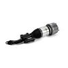 Air Suspension Strut Reman Front Lt Air Strut - Mercedes 16- E43 AMG (W