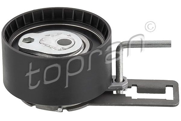 Tensioner Pulley, timing belt Ford, Fiat, Volvo, PSA-Normteile, Mazda, Toyota