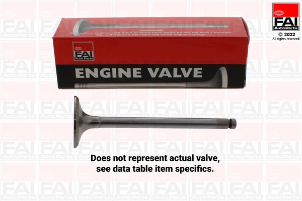 Exhaust Valve