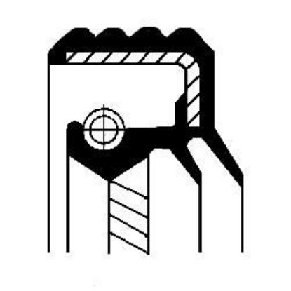 Shaft Seal, manual transmission Daf 1450110