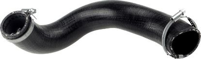 Charger Air Hose