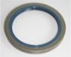 Shaft Seal, wheel hub Iveco 40002850