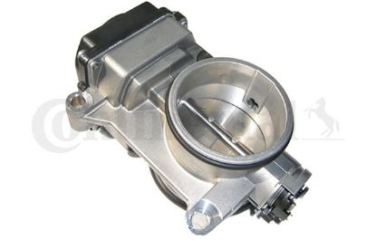 Throttle Body LAGUNA II (BG0/1_), MEGANE I