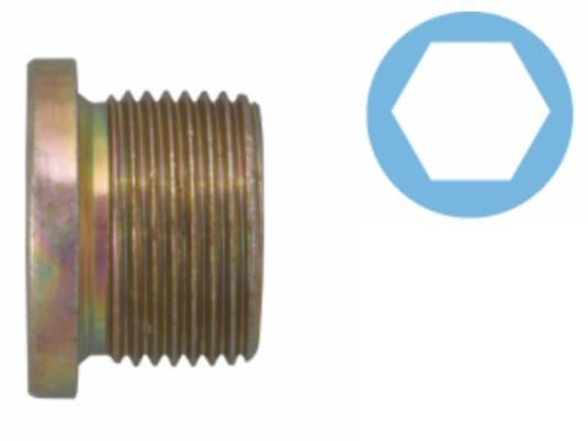 Screw Plug, oil sump Renault