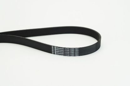 V-Ribbed Belt