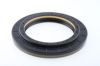 Seal Ring CASE A188117
