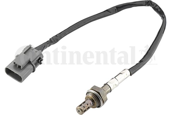 Oxygen Sensor
