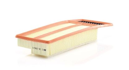 Air Filter PSA - 16 064 984 80