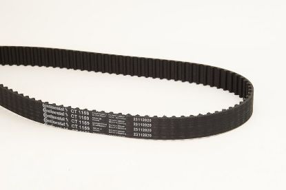 Timing Belt