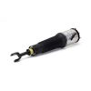 Air Suspension Strut Audi A8 02-09 esi parem 4E0616040AA