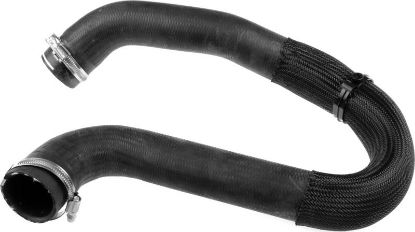 Charger Air Hose