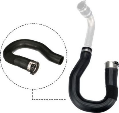 Charger Air Hose