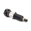 Air Suspension Strut 10-16 Audi A8