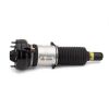 Air Suspension Strut 10-16 Audi A8