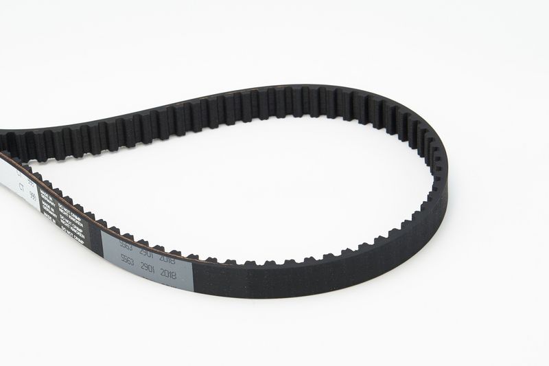 Timing Belt CT999