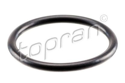Sealing Ring, coolant line VAG - 8E0 260 749C