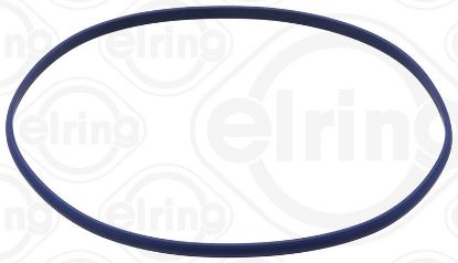 Seal Ring, cylinder liner DAIMLER NKW