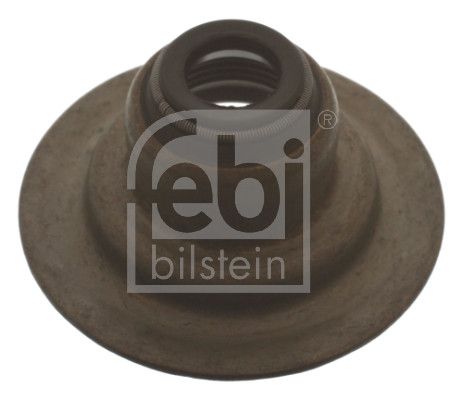 Seal Ring, valve stem Ford Pkw 6 674 302