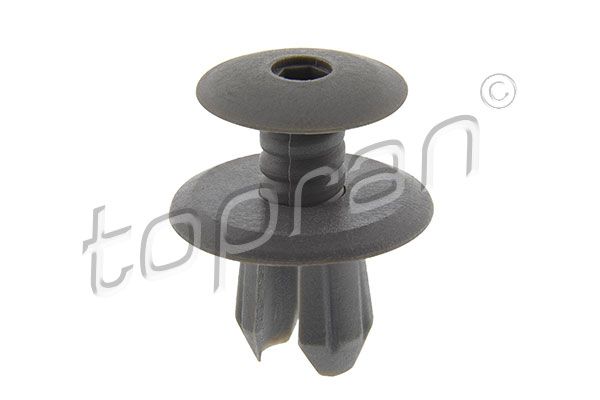 Expanding Rivet VAG - 701 867 299 1YX ( Hall )