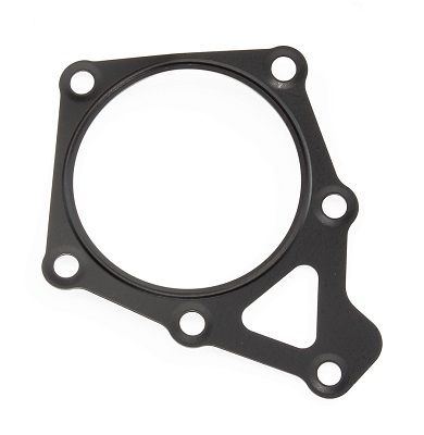 Seal, injection pump Nissan