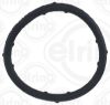 Gasket, coolant flange VOLKSWAGEN