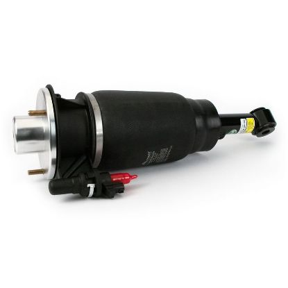 Air Suspension Strut