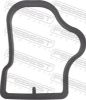 Gasket, intake manifold GM 55563660, OPEL 0850092