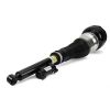 Air Suspension Strut Reman Rear Lt Air Strut-13- MB S-Class/Maybach (W2