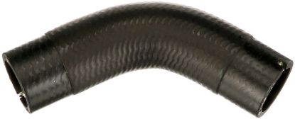 Charger Air Hose