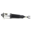 Air Suspension Strut Audi A8 02-09 esi parem 4E0616040AA