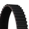Timing Belt CT859