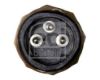 Switch, differential lock M A N - 81255030244