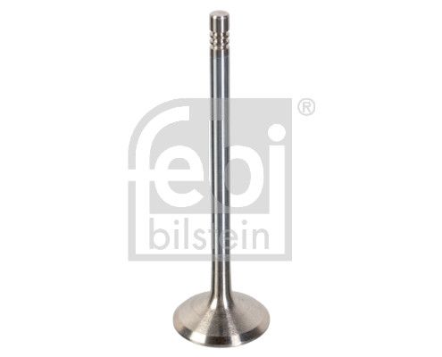Intake Valve Ford Pkw 1 369 828