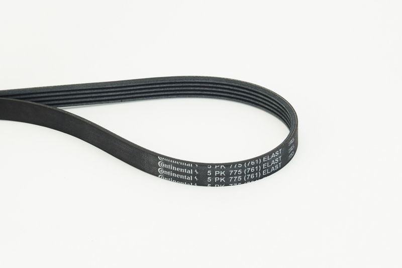 V-Ribbed Belt