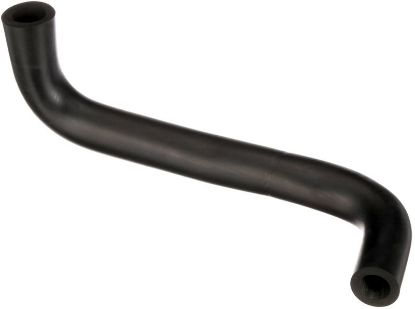 Hose, crankcase ventilation