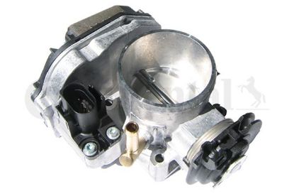 Throttle Body VW
