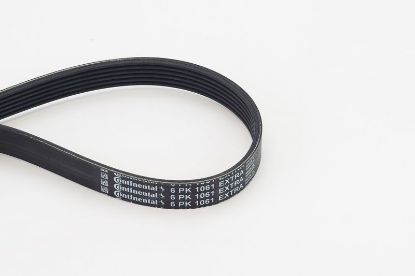 V-Ribbed Belt