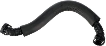 Hose, crankcase ventilation