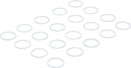 Seal Ring Set 20 mm Sealing Rings, 20pcs., for BGS 126