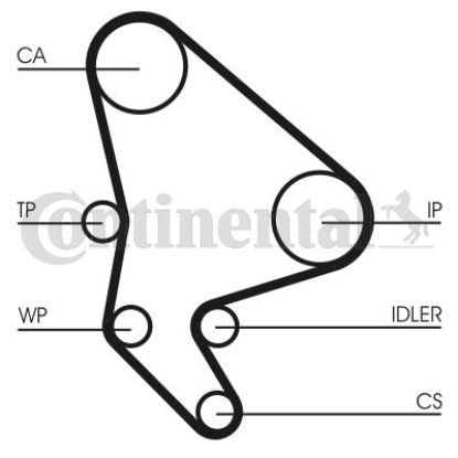 Water Pump & Timing Belt Kit BERLINGO (MF), C5 (DC_)2.0 HDi