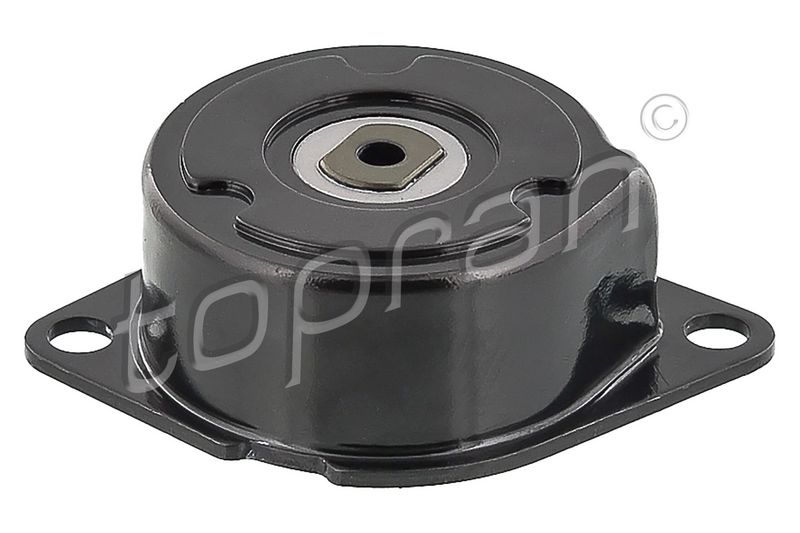 Belt Tensioner, V-ribbed belt VAG, Ford