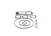 Seal Kit, injector pump centrifugal governor