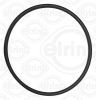 Seal Ring, wheel hub Ford USA F81Z-1001-AA
