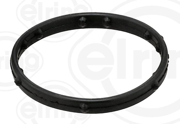 Gasket, coolant flange VOLKSWAGEN