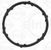 Gasket, coolant flange VOLKSWAGEN