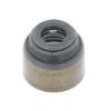 Seal Ring, valve stem Ford 1029213
